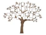 Family Trees