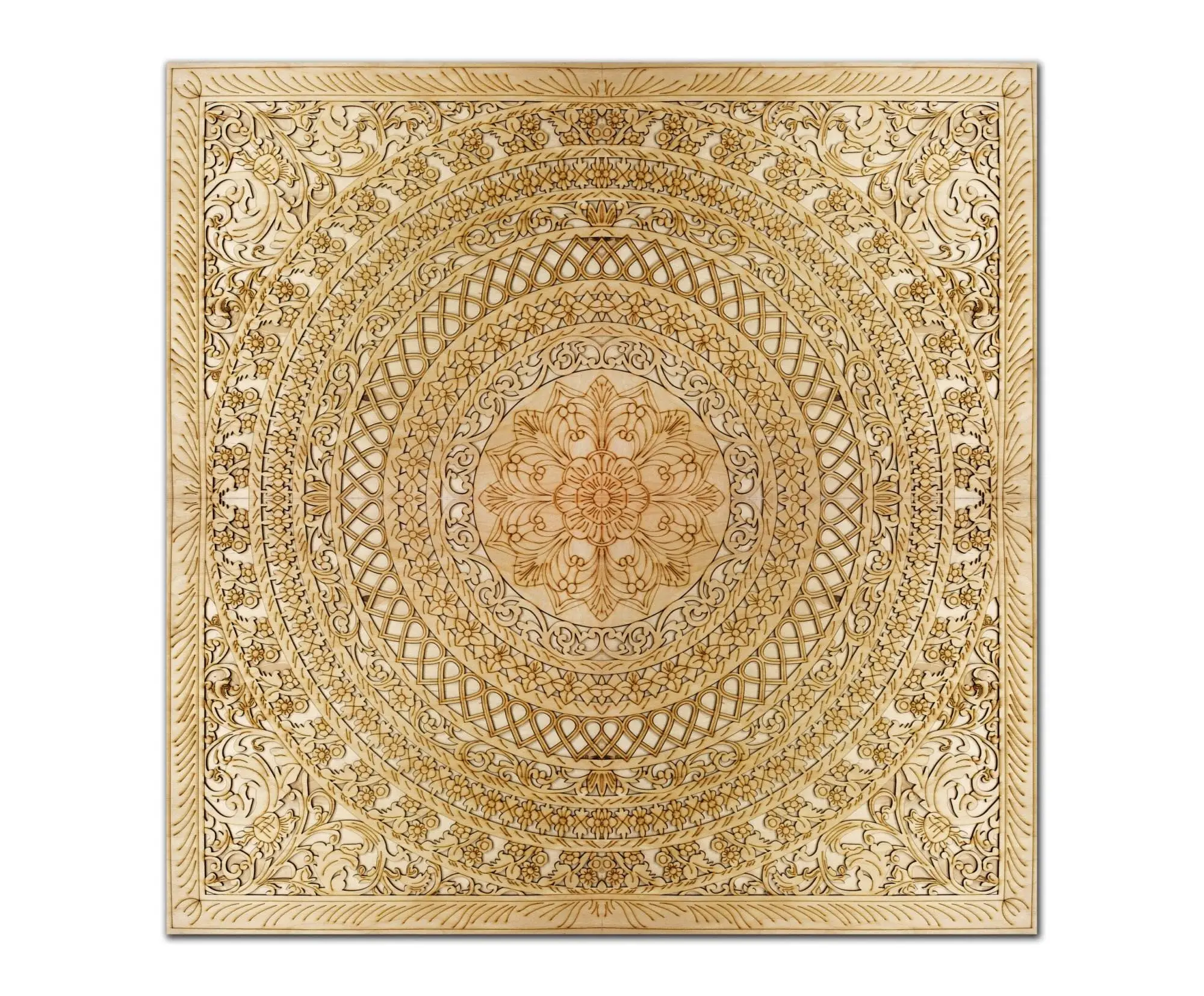 2024/08/MG_4183-scaled-1.webp