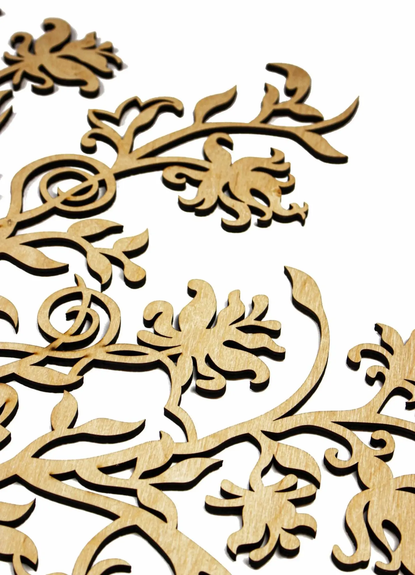 2024/08/MG_5748-scaled-1.webp